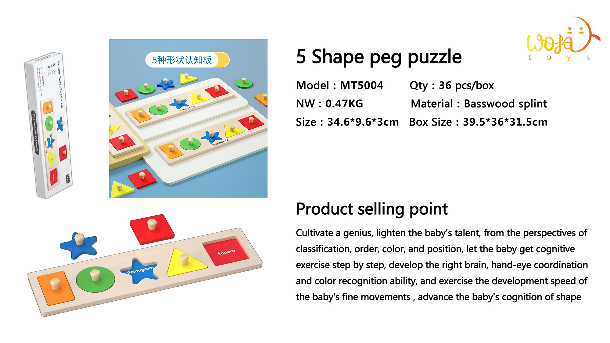5 Shape peg puzzle02.jpg
